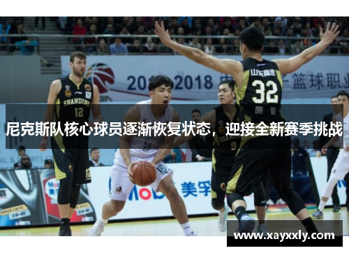 尼克斯队核心球员逐渐恢复状态，迎接全新赛季挑战